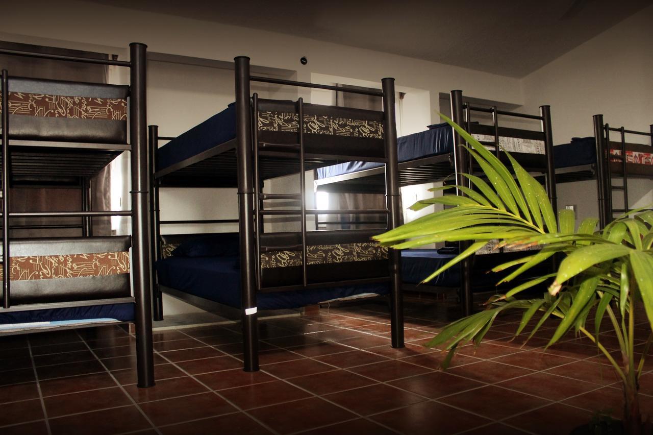Venado Hostel Cancun Exterior photo