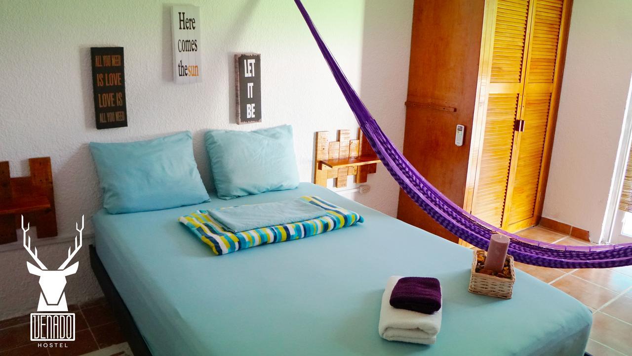 Venado Hostel Cancun Exterior photo